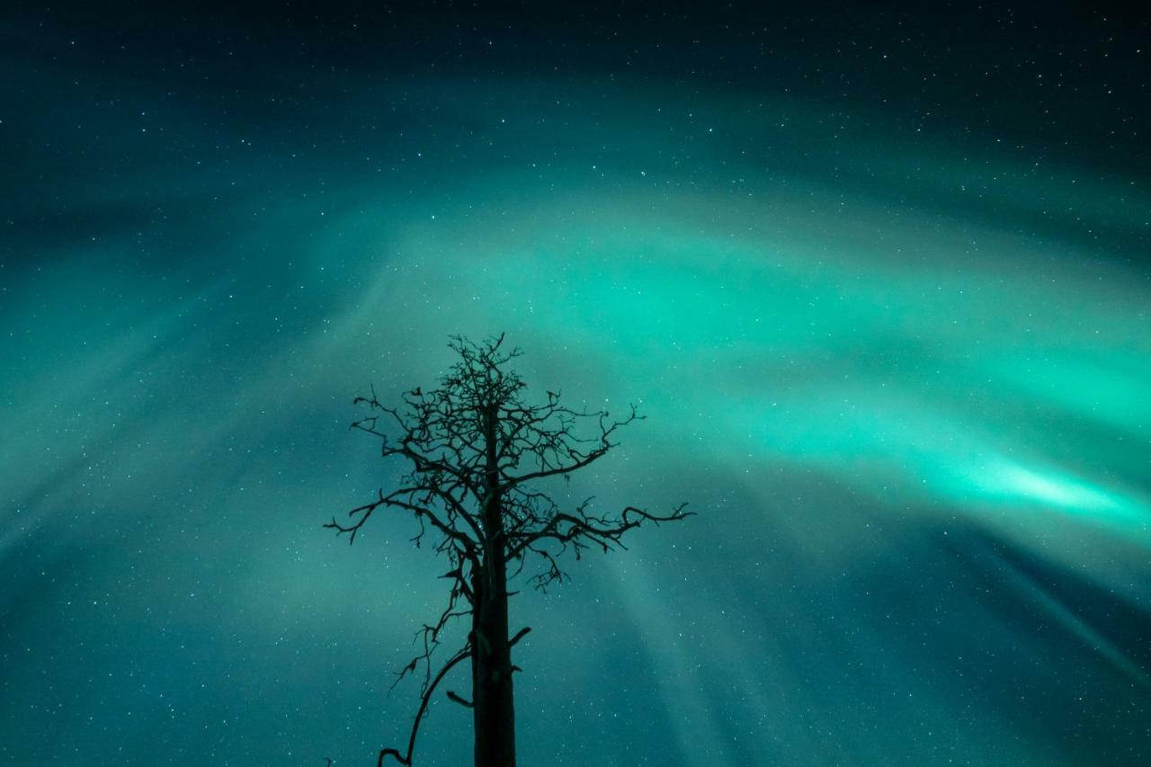 Lapland Hotels Snowvillage Ylläsjärvi 외부 사진